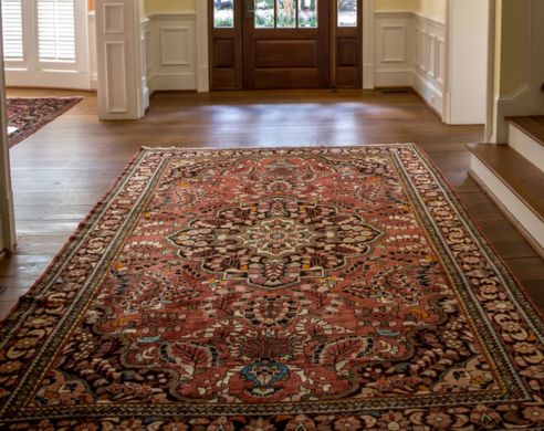 oriental rug on the floor