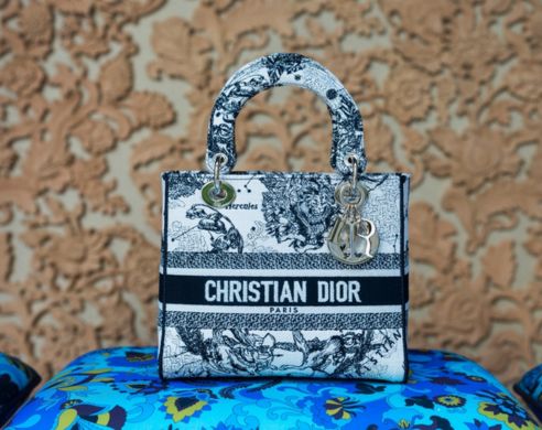 Dior Trendy Handbag