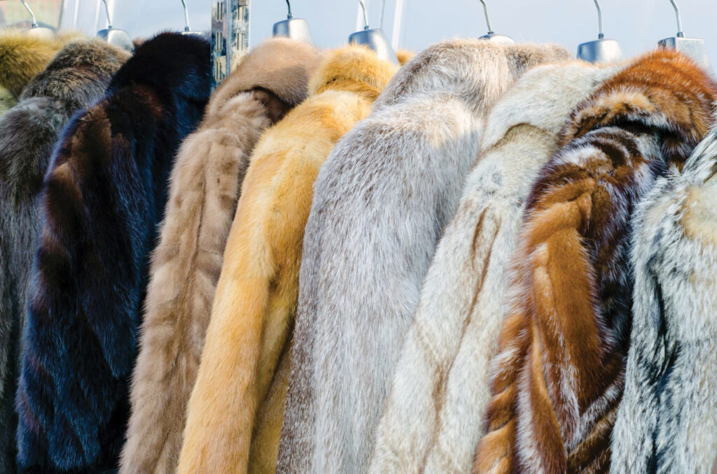 Several Fur Coats In Various Colors And Patterns Are Hanging On Display Racks, Each Requiring Proper Fur Care To Maintain Their Luxurious Look.